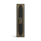 Hermione Harry Potter Wand (Imported,Type C Charging)